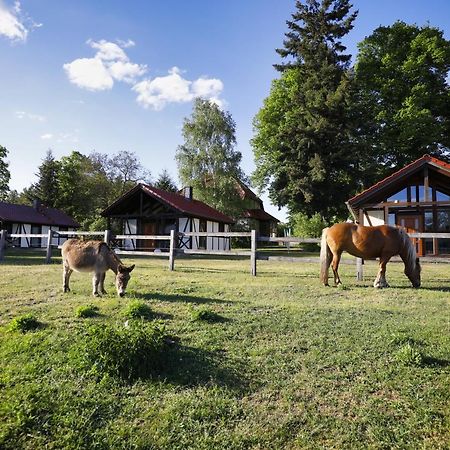 Pferdehof Schorfheide Villa Kültér fotó