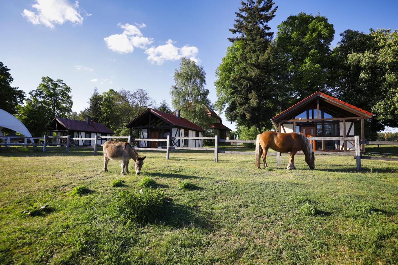 Pferdehof Schorfheide Villa Kültér fotó