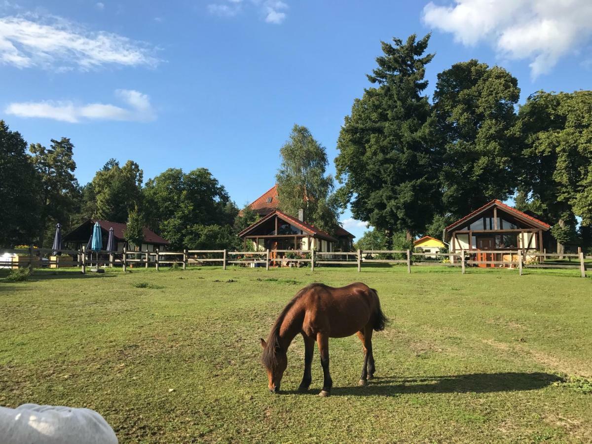 Pferdehof Schorfheide Villa Kültér fotó